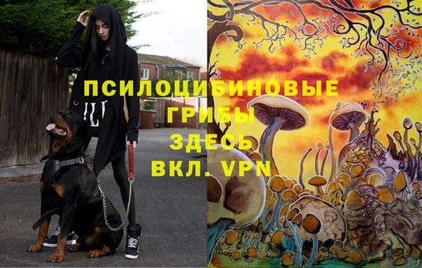 MDMA Premium VHQ Абаза