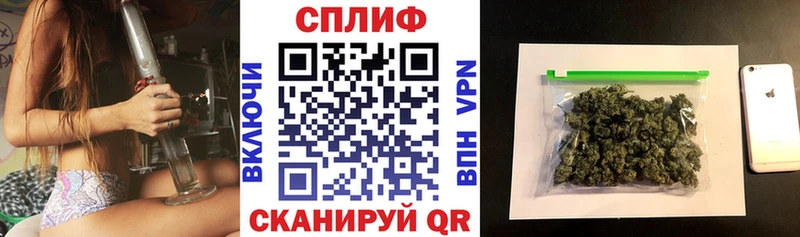 Канабис конопля Шилка